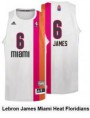 /album/miami-heat/james-florida-jpg/